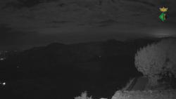 Webcams