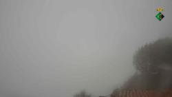 Webcams