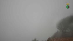 Webcams