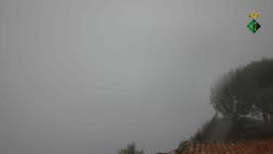 Webcams
