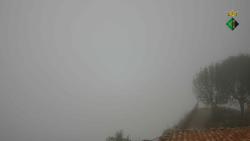 Webcams