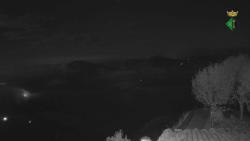Webcams