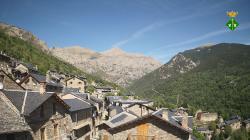 Webcams