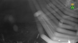 Webcams