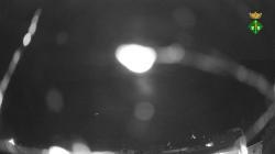 Webcams