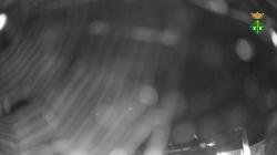 Webcams