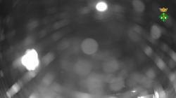 Webcams