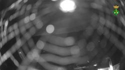 Webcams