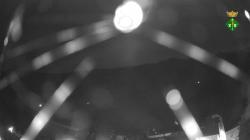 Webcams