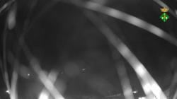 Webcams
