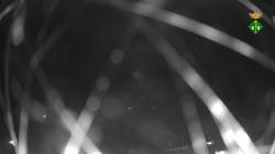 Webcams