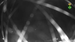 Webcams