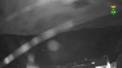 Webcams