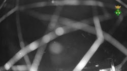 Webcams