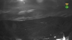 Webcams