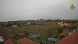 Webcams