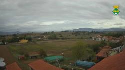 Webcams