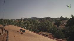 Webcams