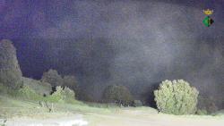 Webcams