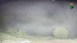 Webcams