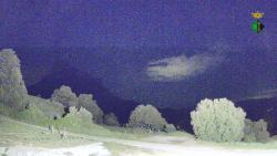 Webcams