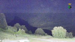 Webcams