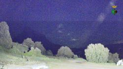 Webcams