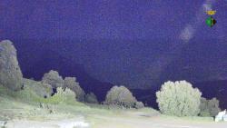 Webcams