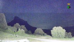 Webcams
