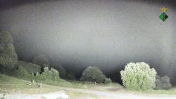 Webcams