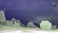 Webcams