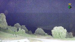 Webcams