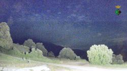 Webcams