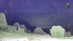 Webcams