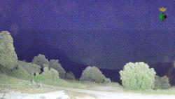 Webcams