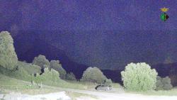 Webcams