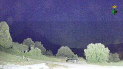 Webcams