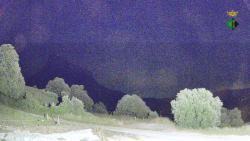 Webcams
