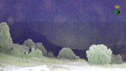 Webcams