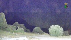 Webcams