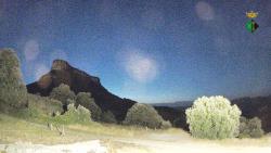 Webcams