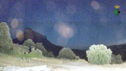 Webcams