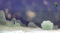 Webcams