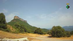 Webcams