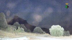 Webcams