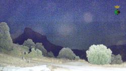 Webcams