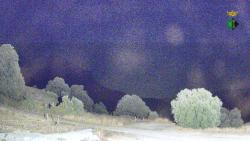 Webcams