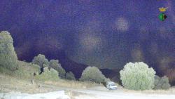 Webcams