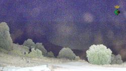 Webcams