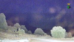 Webcams